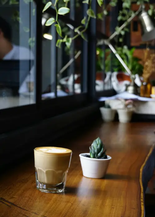 Kaffe-plante-cafe-bord